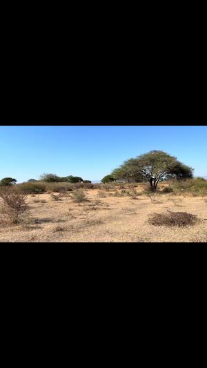 Viwanja vinauzwa Kitelela, Dodoma (800 sqm)