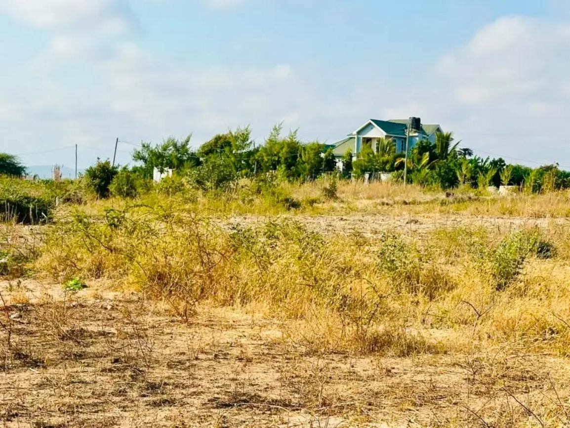  media -1