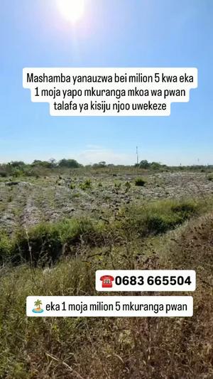 Farms for Sale in Kisiju, Pwani (54 acre) Farms for Sale in Kisiju, Pwani (54 acre)