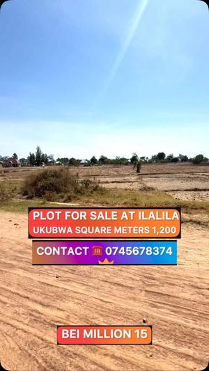 Kiwanja kinauzwa Buswelu Ilalila, Mwanza (1200 sqm) Kiwanja kinauzwa Buswelu Ilalila, Mwanza (1200 sqm)