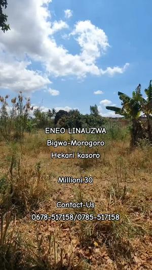 Residential Plot for Sale in Bigwa Seminary, Morogoro (1 acre) Residential Plot for Sale in Bigwa Seminary, Morogoro (1 acre)