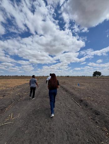 Plots for sale in Chamwino, Dodoma Plots for sale in Chamwino, Dodoma