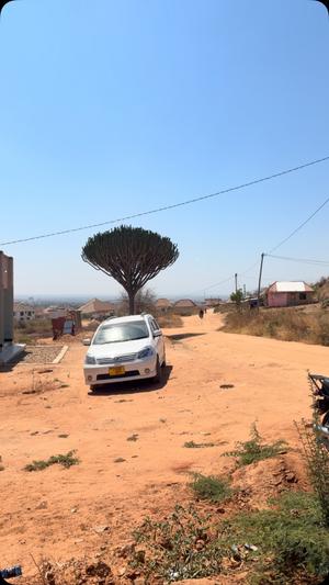 Kiwanja kinauzwa Chidachi Extension, Dodoma sqm 2081 Kiwanja kinauzwa Chidachi Extension, Dodoma sqm 2081