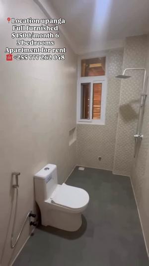Apartment (Furnished) ya vyumba vitatu inapangishwa Upanga, Dar Es Salaam
