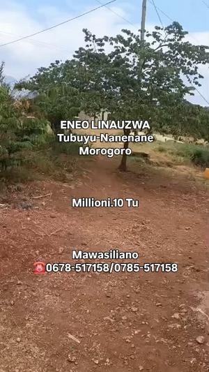 Kiwanja kinauzwa Tubuyu-Nanenane, Dodoma