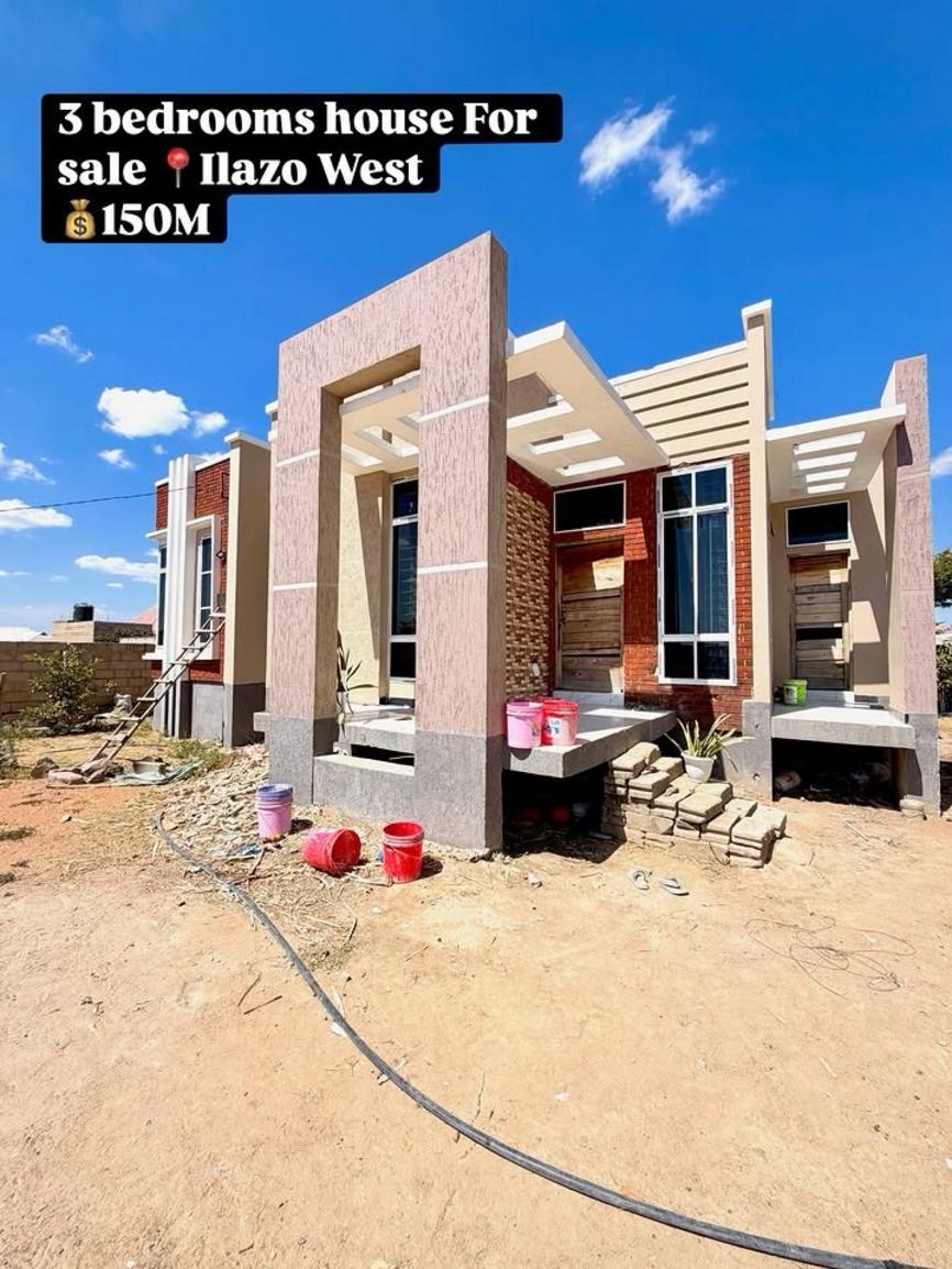 media -1 media -1