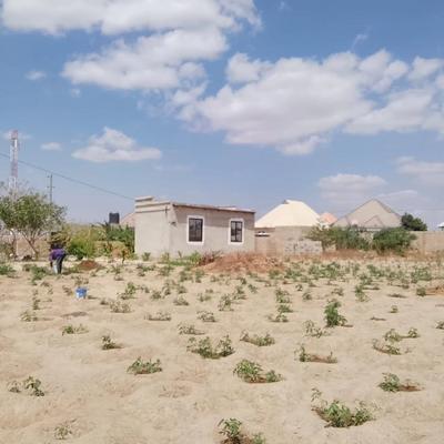 Residential Plot for Sale in Michese, Dodoma (600 sqm) Residential Plot for Sale in Michese, Dodoma (600 sqm)