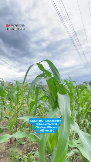 Kiwanja kinauzwa Kibada, Dar Es Salaam (1400 sqm)