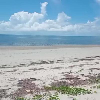 Beach Plot for Sale in Ushongo, Tanga (5.9 acre) Beach Plot for Sale in Ushongo, Tanga (5.9 acre)