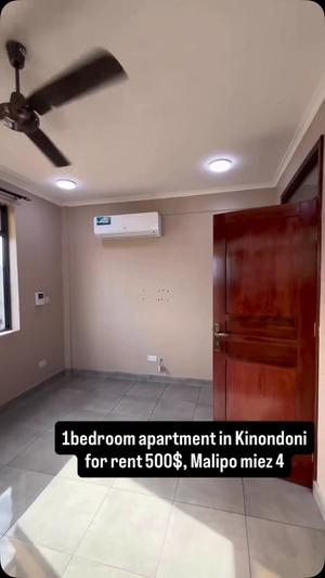 Apartment ya chumba kimoja inapangishwa Kinondoni, Dar Es Salaam