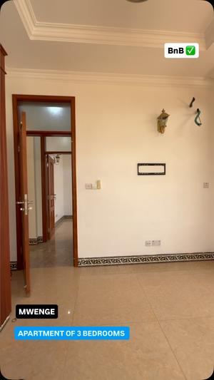 3 Bedrooms Apartment for Rent in Mwenge TRA, Dar Es Salaam