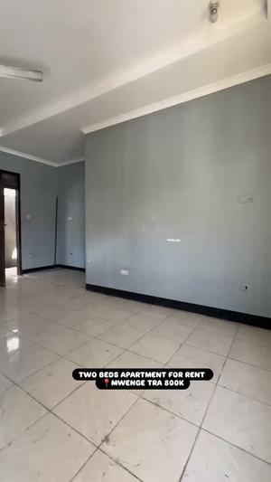 Apartment ya vyumba viwili inapangishwa Mwenge Tra, Dar Es Salaam
