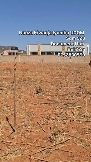 Plot for sale in Iyumbu Udom, Dodoma sqm 520