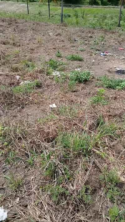 Kiwanja kinauzwa Mbezi, Dar Es Salaam