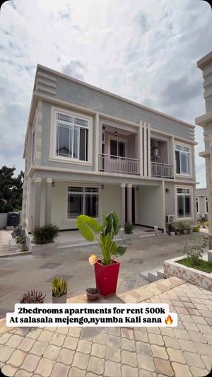 Apartment ya vyumba viwili inapangishwa Salasala Kinzudi Majengo, Dar Es Salaam