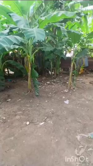 Plot for sale in Kilungule, Dar Es Salaam sqm 156