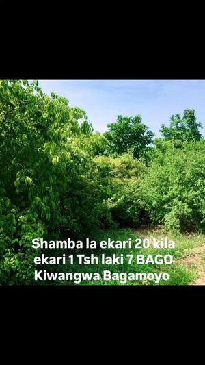 Shamba linauzwa Kiwangwa Bago, Pwani (20 acre)