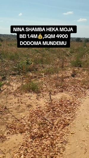 Farm for Sale in Mundemu, Dodoma (1 acre) Farm for Sale in Mundemu, Dodoma (1 acre)