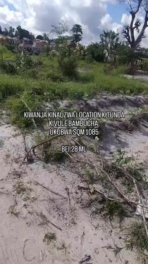 Kiwanja kinauzwa Kitunda Kivule Bambucha, Dar Es Salaam (1085 sqm) Kiwanja kinauzwa Kitunda Kivule Bambucha, Dar Es Salaam (1085 sqm)