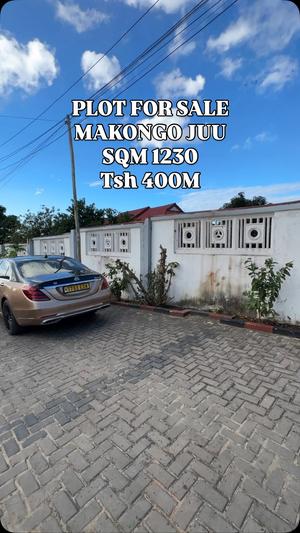 Kiwanja kinauzwa Makongo Juu, Dar Es Salaam sqm 1230 Kiwanja kinauzwa Makongo Juu, Dar Es Salaam sqm 1230