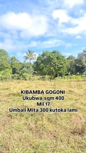 Kiwanja kinauzwa Kibamba Shule, Dar Es Salaam (400 sqm)