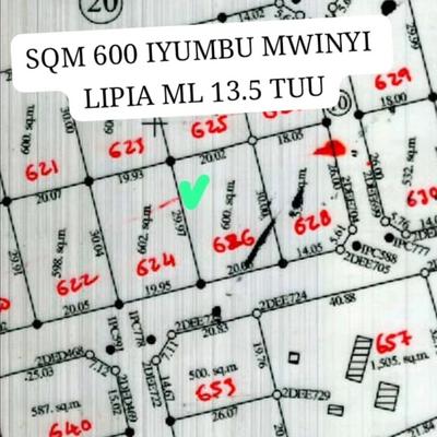 Kiwanja kinauzwa Iyumbu Mwinyi, Dodoma (600 sqm) Kiwanja kinauzwa Iyumbu Mwinyi, Dodoma (600 sqm)