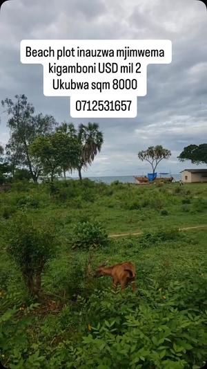 Beach Plot kinauzwa Mjimwema, Dar Es Salaam (8000 sqm) Beach Plot kinauzwa Mjimwema, Dar Es Salaam (8000 sqm)
