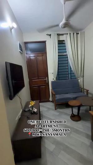 1 Bedroom Furnished Apartment for Rent in Mwananyamala, Dar Es Salaam
