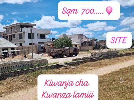 Kiwanja kinauzwa Nkuhungu, Dodoma (700 sqm)