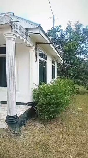 Kiwanja kinauzwa Kibaha Kongowe, Pwani Kiwanja kinauzwa Kibaha Kongowe, Pwani
