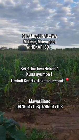 Shamba linauzwa Mikese Kooo, Morogoro acre 30