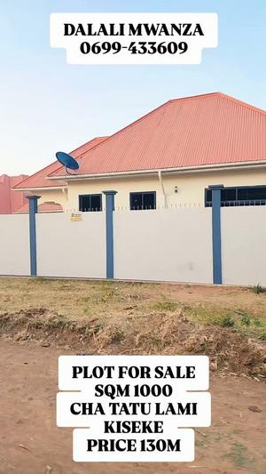 Plot for sale in Kiseke Ppf, Mwanza sqm 1000