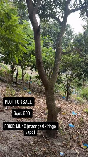 Residential Plot for Sale in Goba Mti Pesa, Dar Es Salaam Residential Plot for Sale in Goba Mti Pesa, Dar Es Salaam