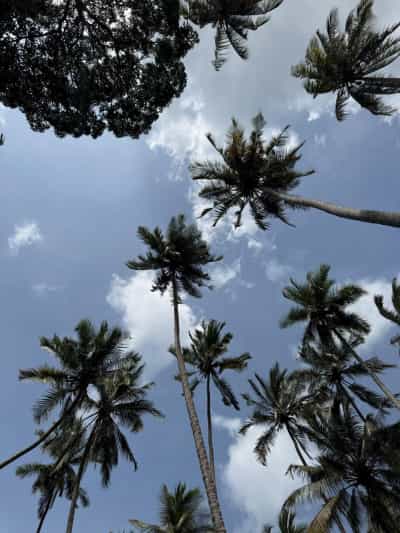 Kiwanja kinauzwa Fujoni, Zanzibar - Unguja North (1160 sqm)