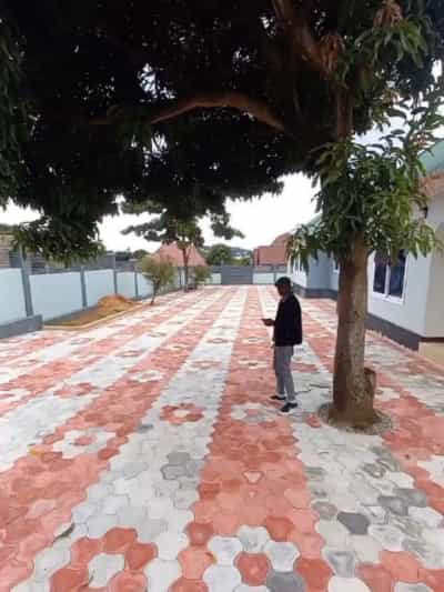 Warehouse/Godown for Rent in Mwanza