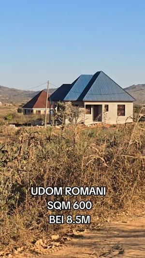 Kiwanja kinauzwa Udom-Romani, Dodoma sqm 600