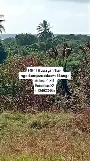 Kiwanja kinauzwa Kigamboni Puna, Dar Es Salaam (1250 sqm) Kiwanja kinauzwa Kigamboni Puna, Dar Es Salaam (1250 sqm)