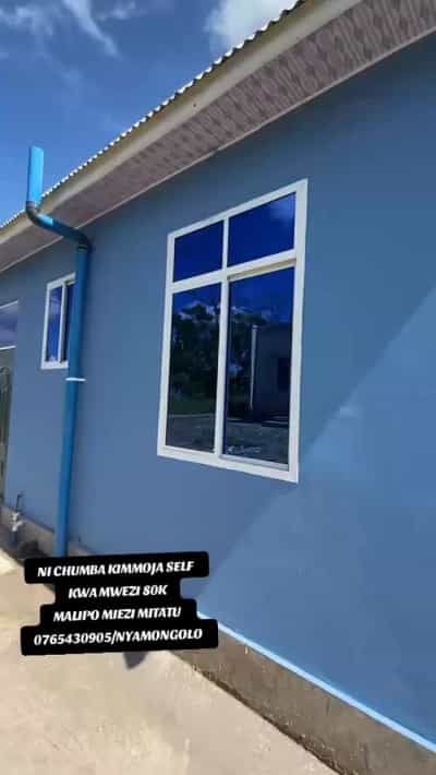 1 Bedroom House for Rent in Nyamhongolo, Mwanza