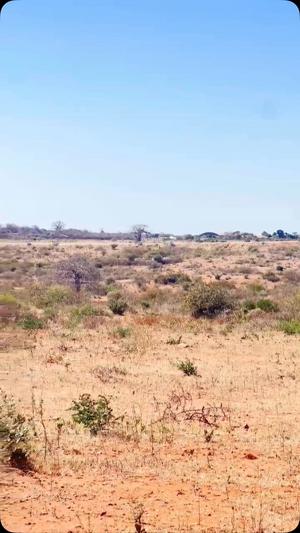 Plots for sale in Nala, Dodoma sqm 800 Plots for sale in Nala, Dodoma sqm 800