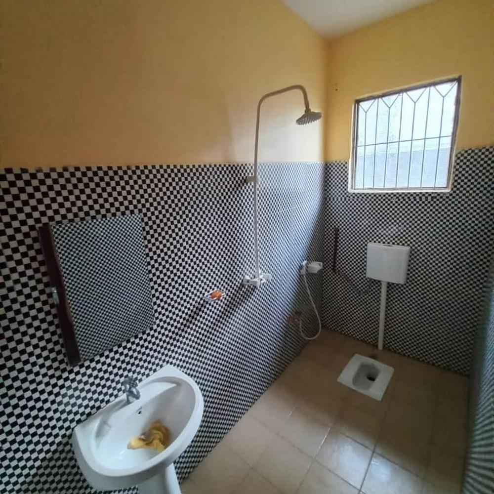media -6