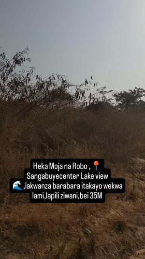 Residential Plot for Sale in Sangabuye, Mwanza (1.25 acre)