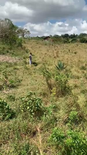 Kiwanja kinauzwa Kifuru, Kingazi, Dar Es Salaam Kiwanja kinauzwa Kifuru, Kingazi, Dar Es Salaam