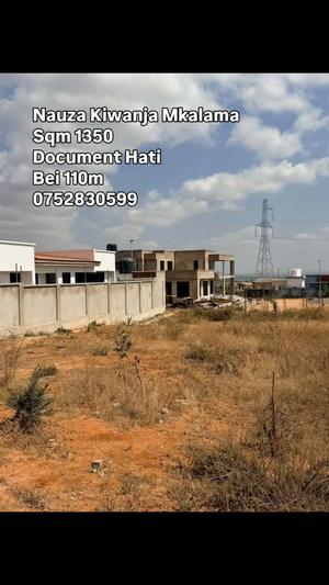 Kiwanja kinauzwa Dodoma Mjini Mkalama Ushuani (1350 sqm)