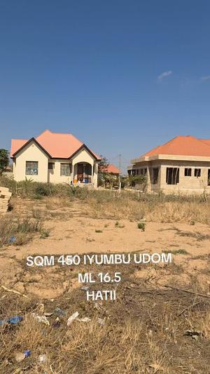 Kiwanja kinauzwa Iyumbu UDOM, Dodoma (450 sqm) Kiwanja kinauzwa Iyumbu UDOM, Dodoma (450 sqm)