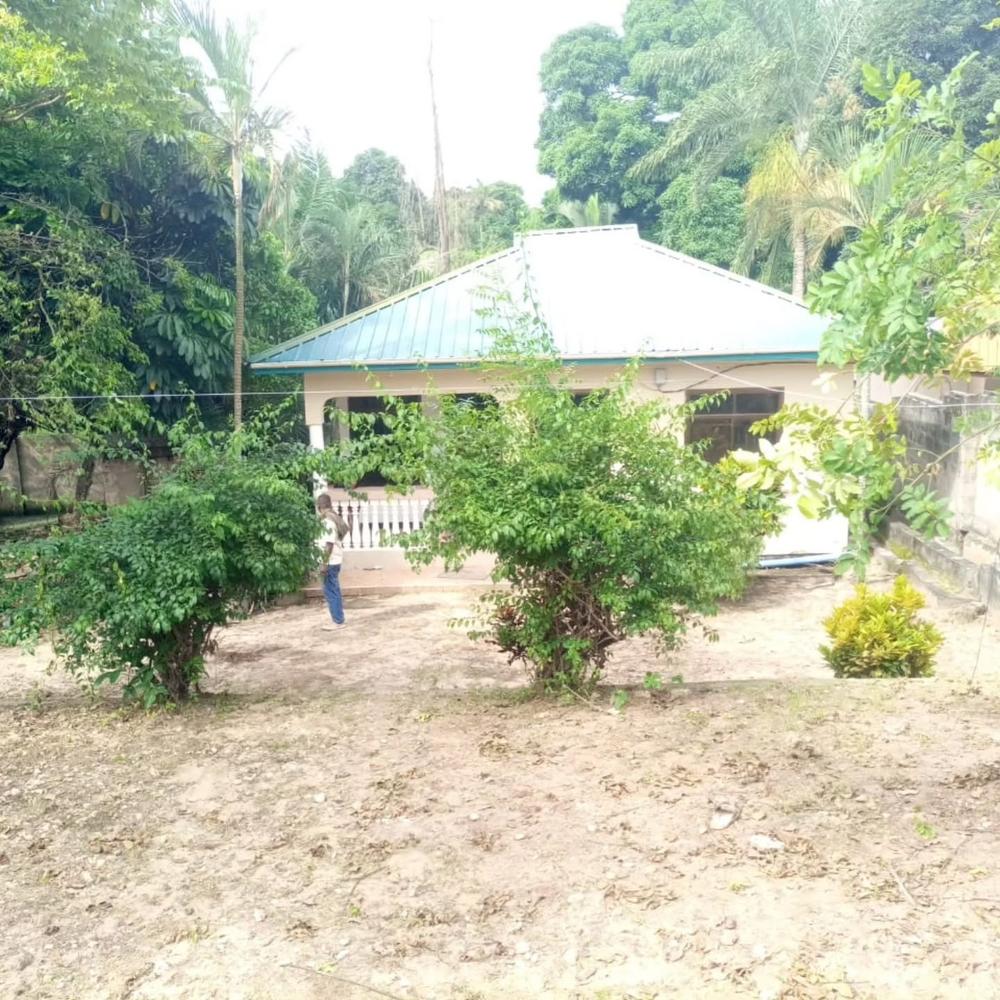media -1 media -1