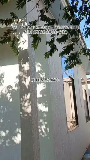1 Bedroom House for Rent in Kahama, Shinyanga 1 Bedroom House for Rent in Kahama, Shinyanga