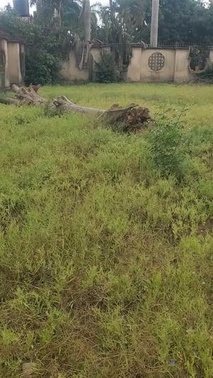 Plot for sale in Mbezi Kwa Mwamunyange, Dar Es Salaam sqm 1000 Plot for sale in Mbezi Kwa Mwamunyange, Dar Es Salaam sqm 1000