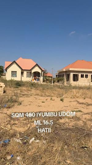 Residential Plot for Sale in Iyumbu UDOM, Dodoma (450 sqm) Residential Plot for Sale in Iyumbu UDOM, Dodoma (450 sqm)