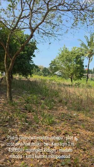 Kiwanja kinauzwa Madale Mbopo, Dar Es Salaam (6 sqm) Kiwanja kinauzwa Madale Mbopo, Dar Es Salaam (6 sqm)
