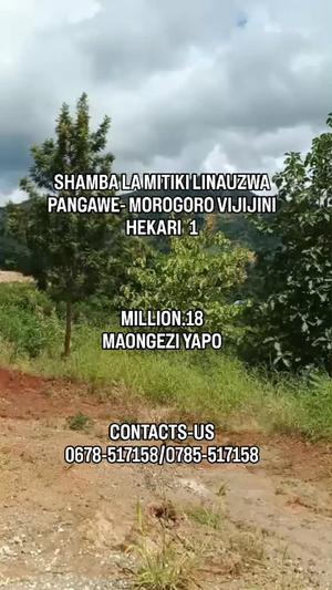 Shamba linauzwa Pangawe, Morogoro Vijijini
